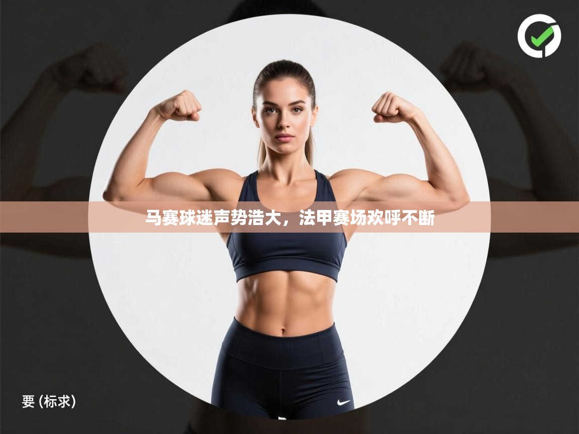 马赛球迷声势浩大，法甲赛场欢呼不断  第2张