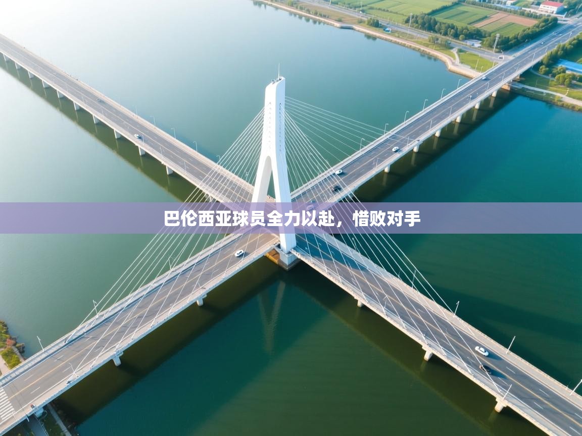 巴伦西亚球员全力以赴，惜败对手  第2张