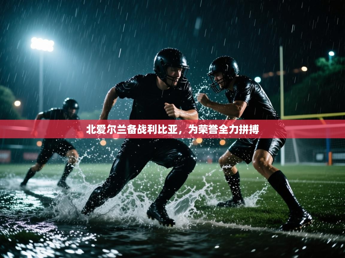 北爱尔兰备战利比亚，为荣誉全力拼搏  第2张