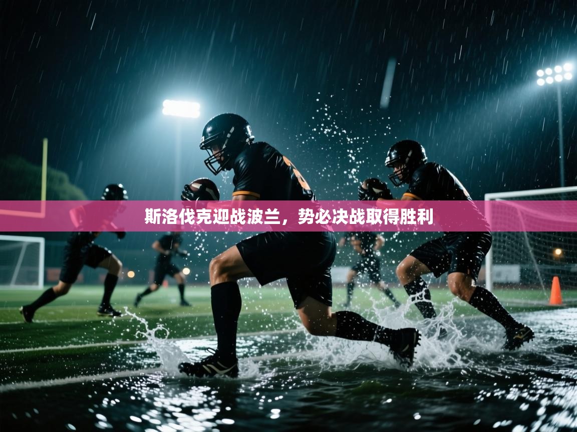 斯洛伐克迎战波兰，势必决战取得胜利  第2张