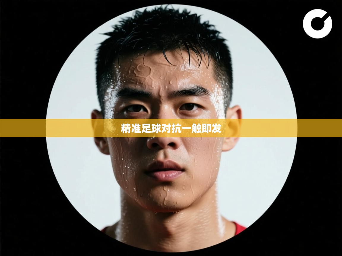 精准足球对抗一触即发 第2张