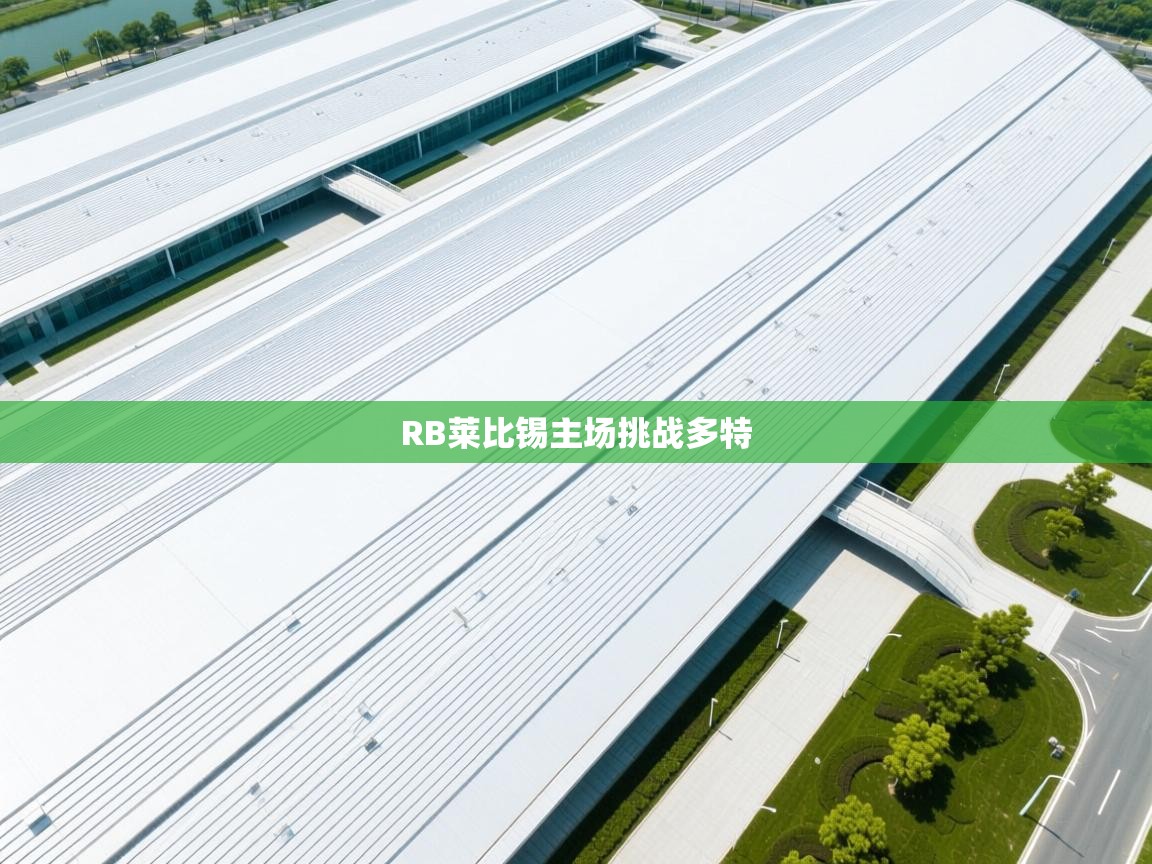 RB莱比锡主场挑战多特  第1张