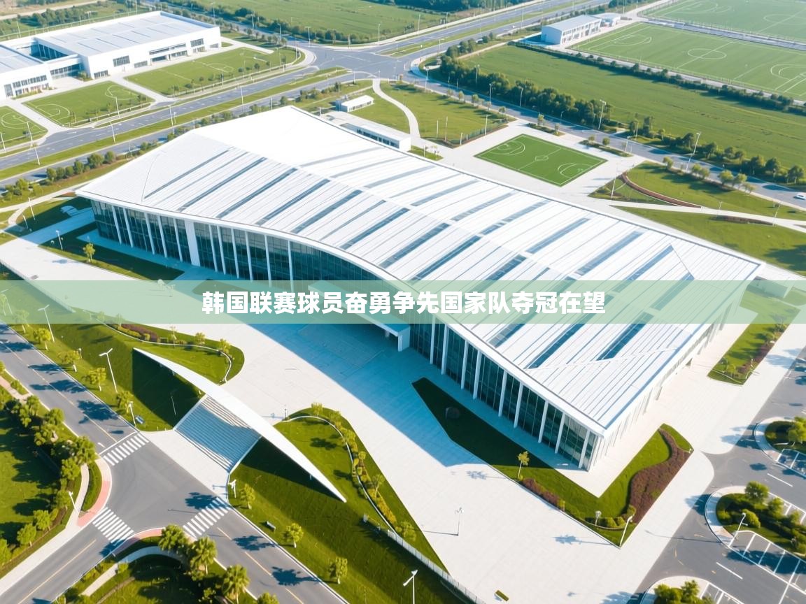 韩国联赛球员奋勇争先国家队夺冠在望  第1张