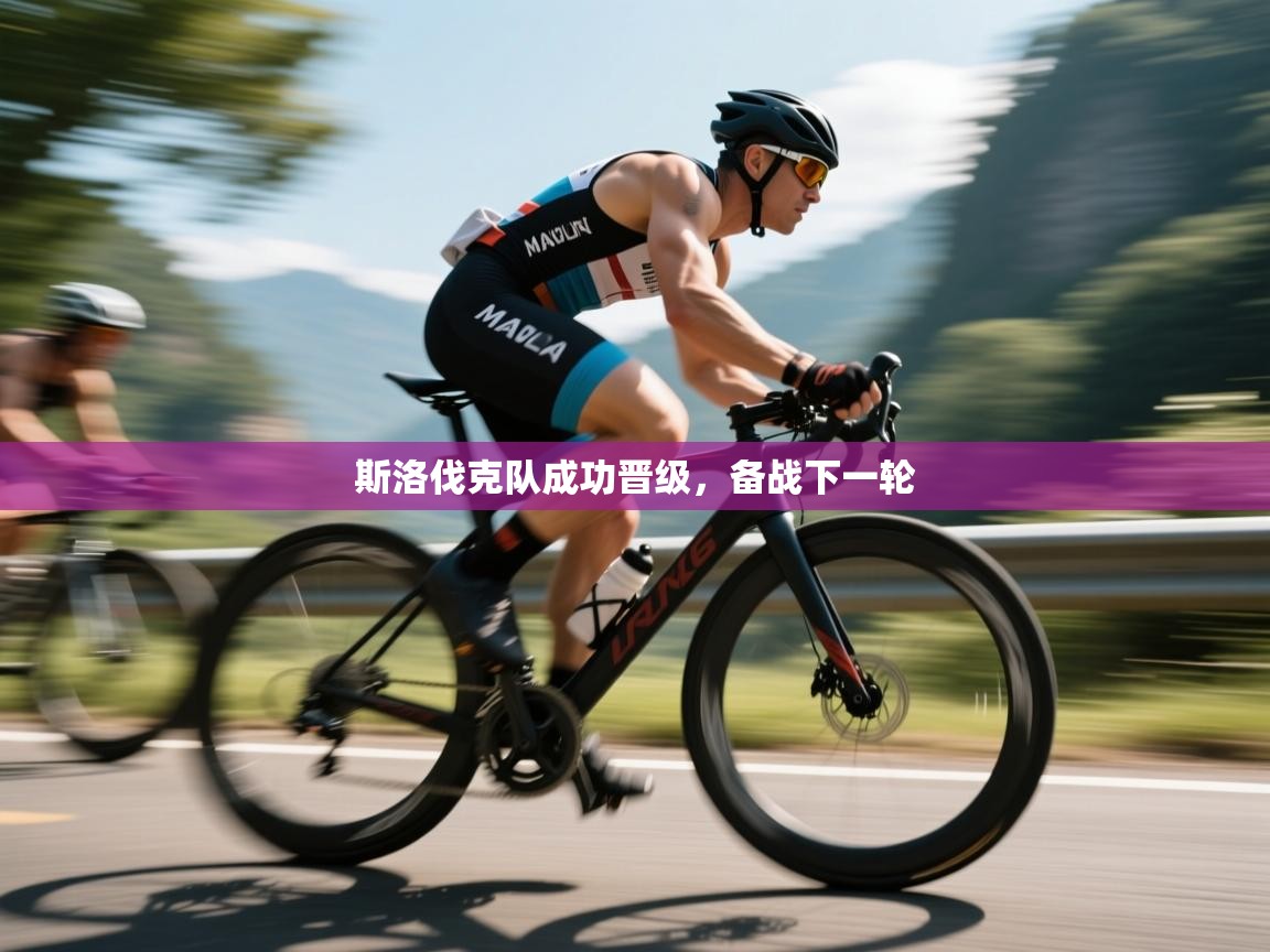 斯洛伐克队成功晋级，备战下一轮  第2张