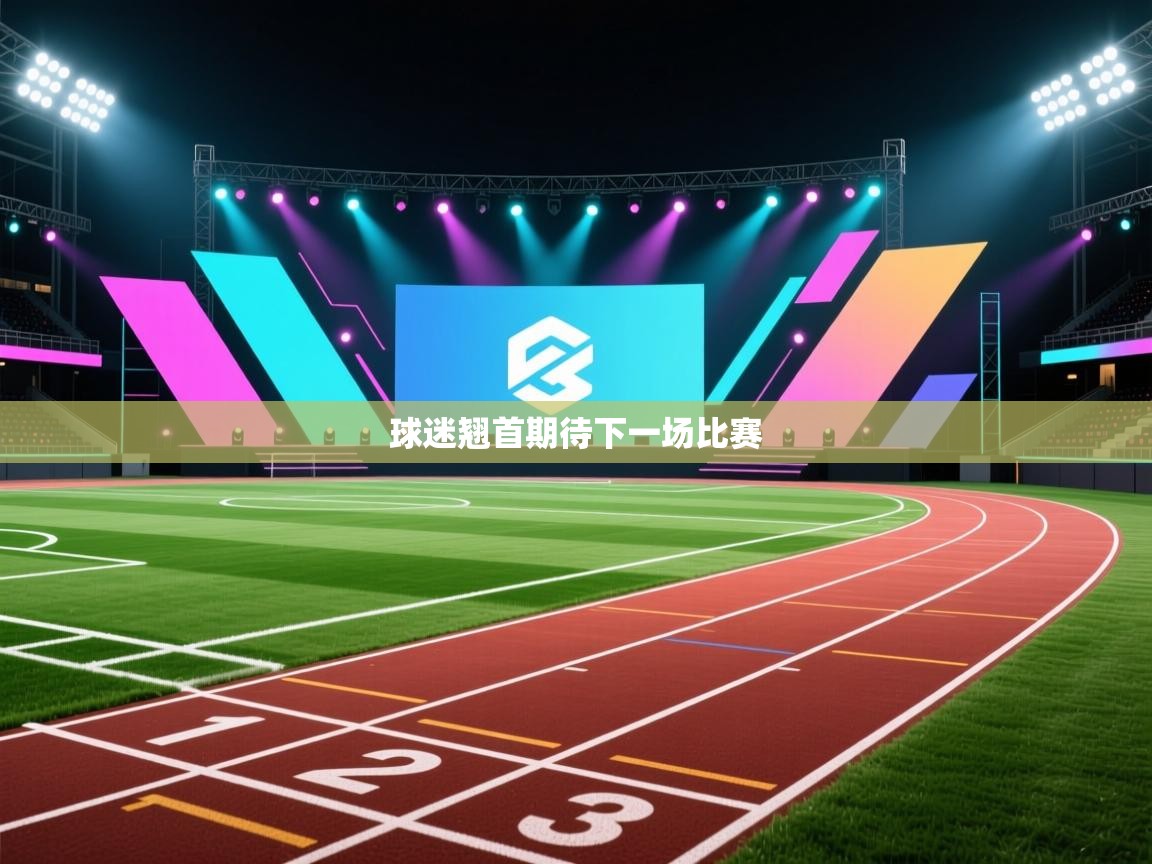 球迷翘首期待下一场比赛 第1张