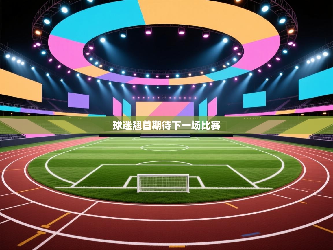 球迷翘首期待下一场比赛 第2张