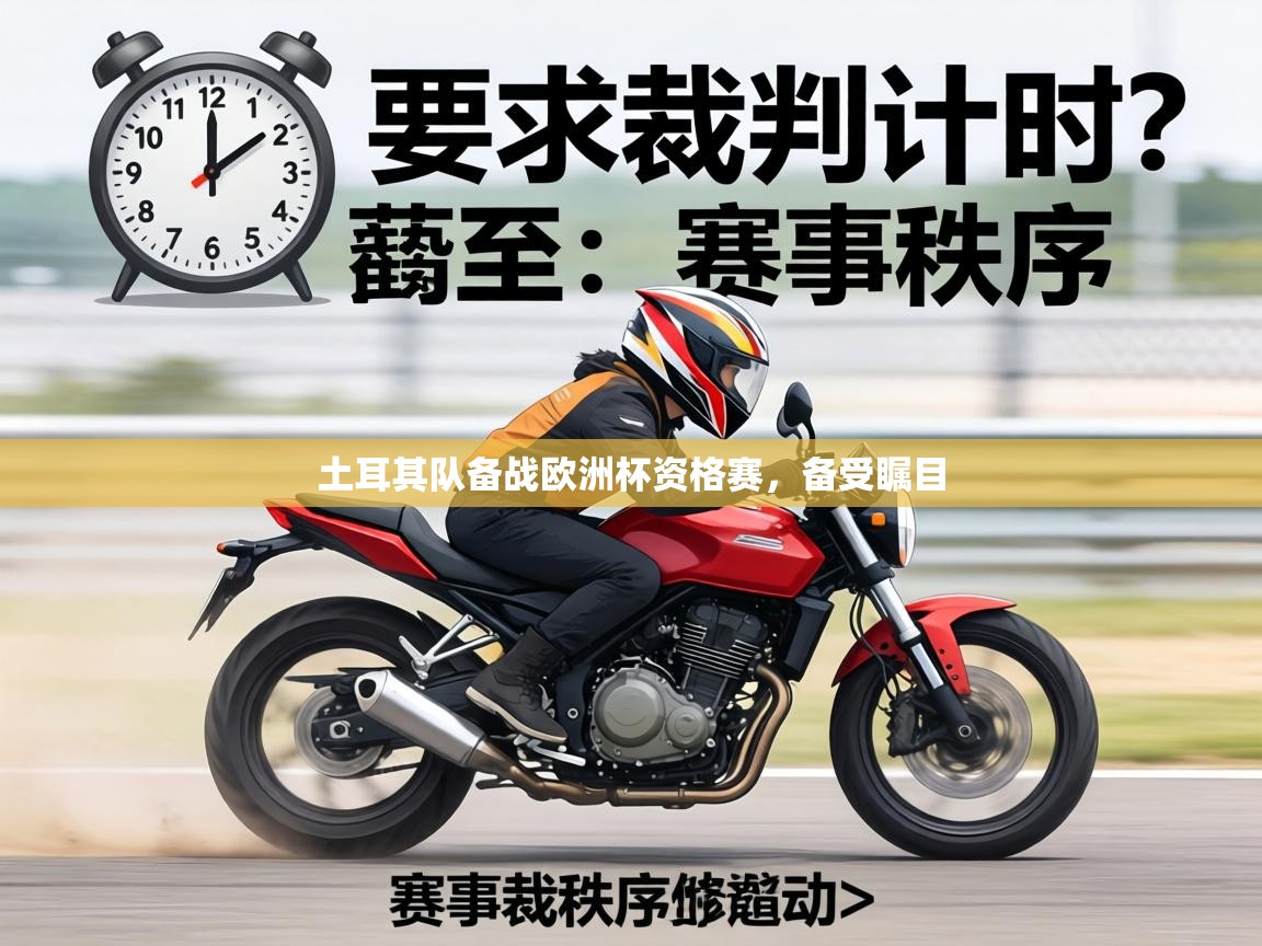 土耳其队备战欧洲杯资格赛,备受瞩目 第1张